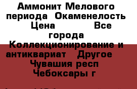 Аммонит Мелового периода. Окаменелость. › Цена ­ 2 800 - Все города Коллекционирование и антиквариат » Другое   . Чувашия респ.,Чебоксары г.